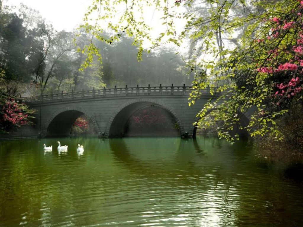 Hongzhushan Hotel Mount Emei Leshan Esterno foto